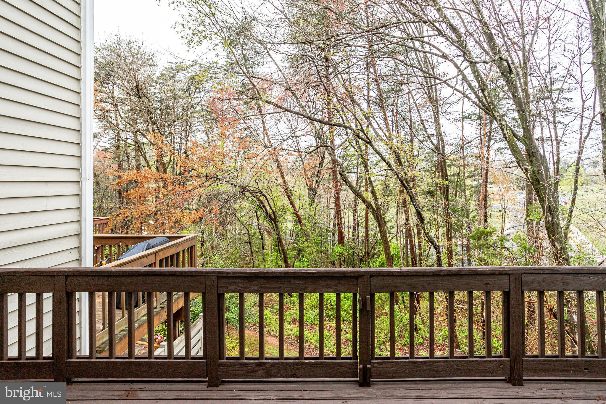 1514 Deer Point Way Reston, VA 20194 - Photo 12 of 81 Perfect Private View