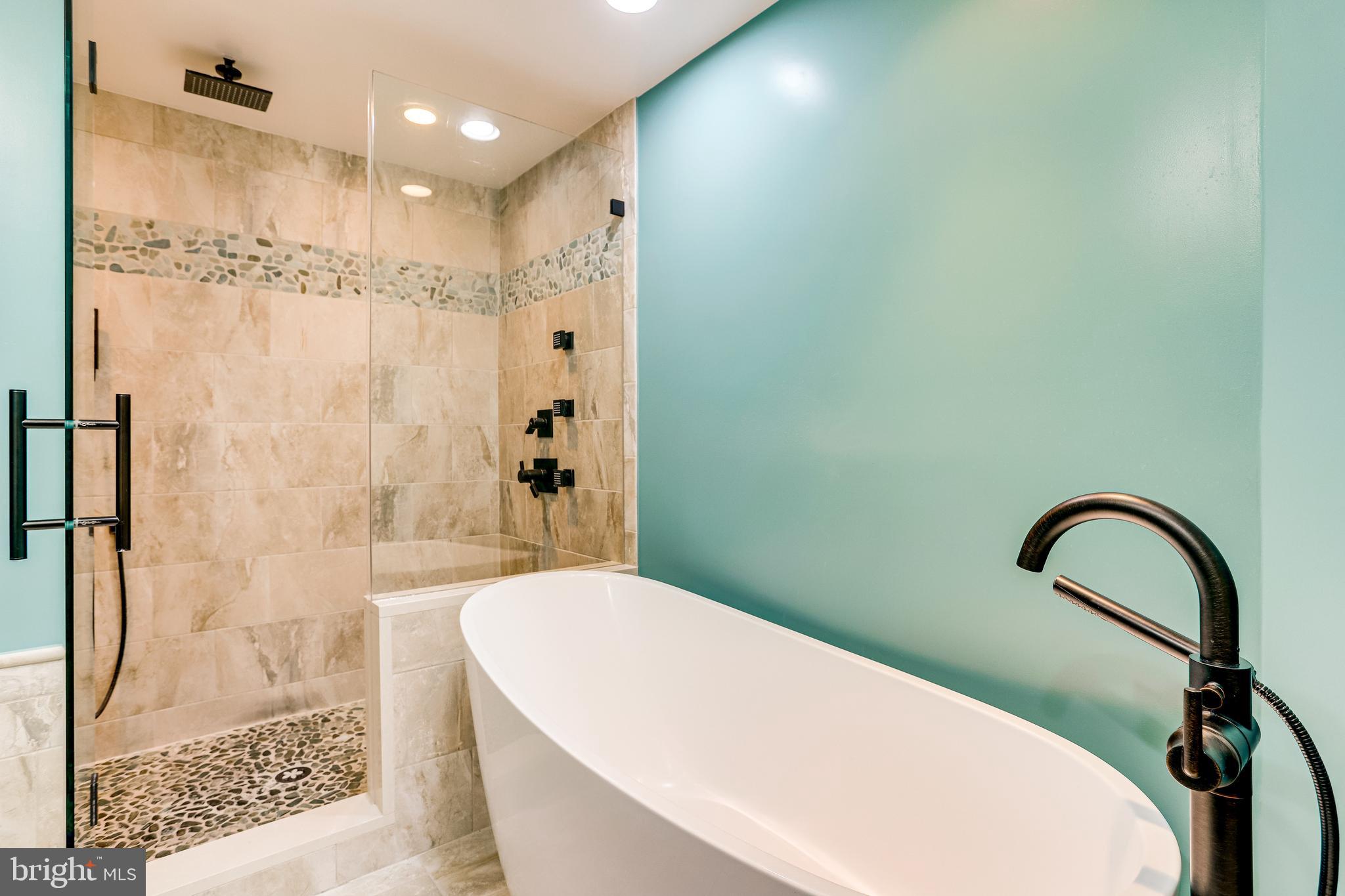 1514 Deer Point Way Reston, VA 20194 - Photo 45 of 81 Stand Alone Soaking tub