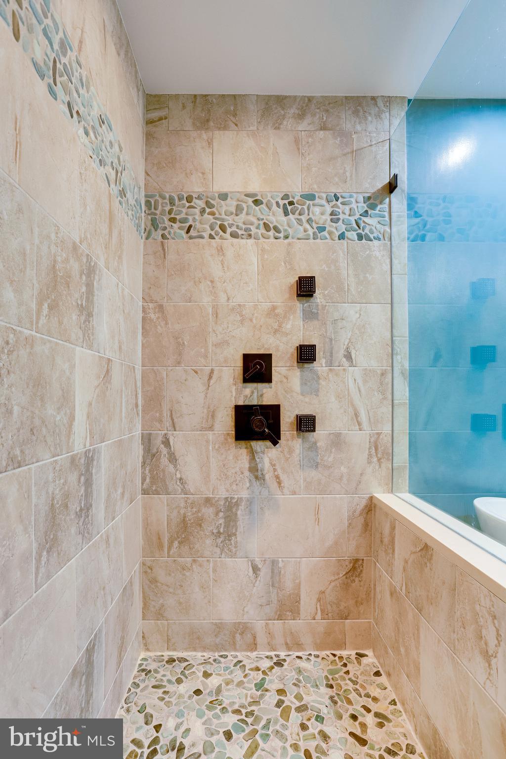1514 Deer Point Way Reston, VA 20194 - Photo 48 of 81 Custom Shower with Rain Head and Spray Jets