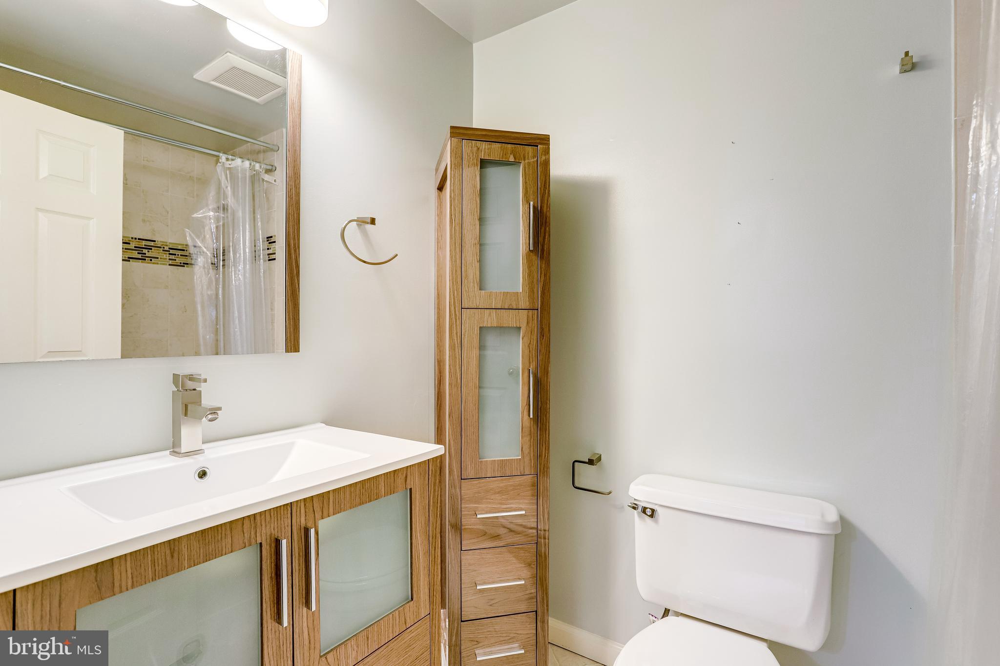 1514 Deer Point Way Reston, VA 20194 - Photo 52 of 81 Renovated Guest Bath