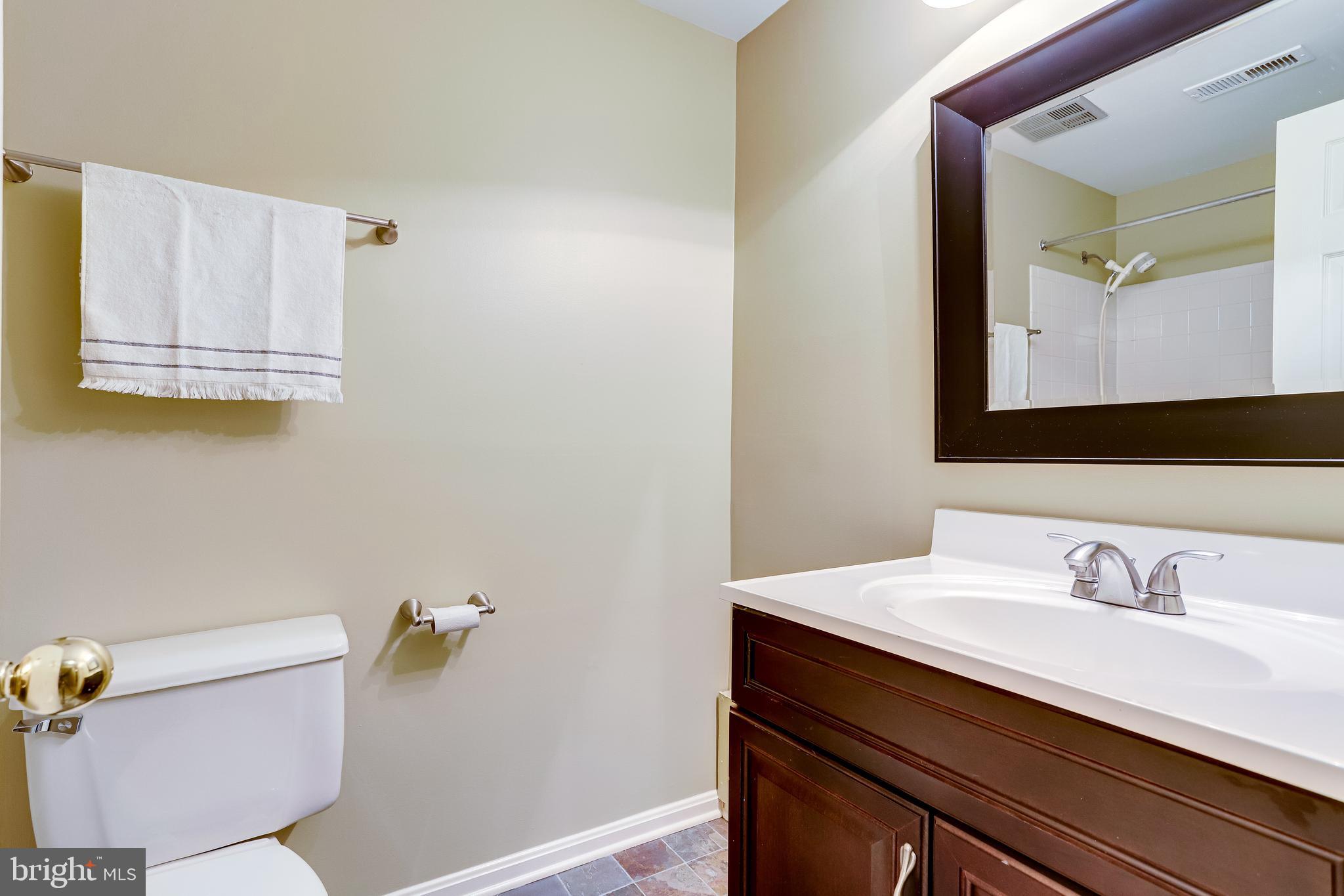 1514 Deer Point Way Reston, VA 20194 - Photo 66 of 81 Full Bath