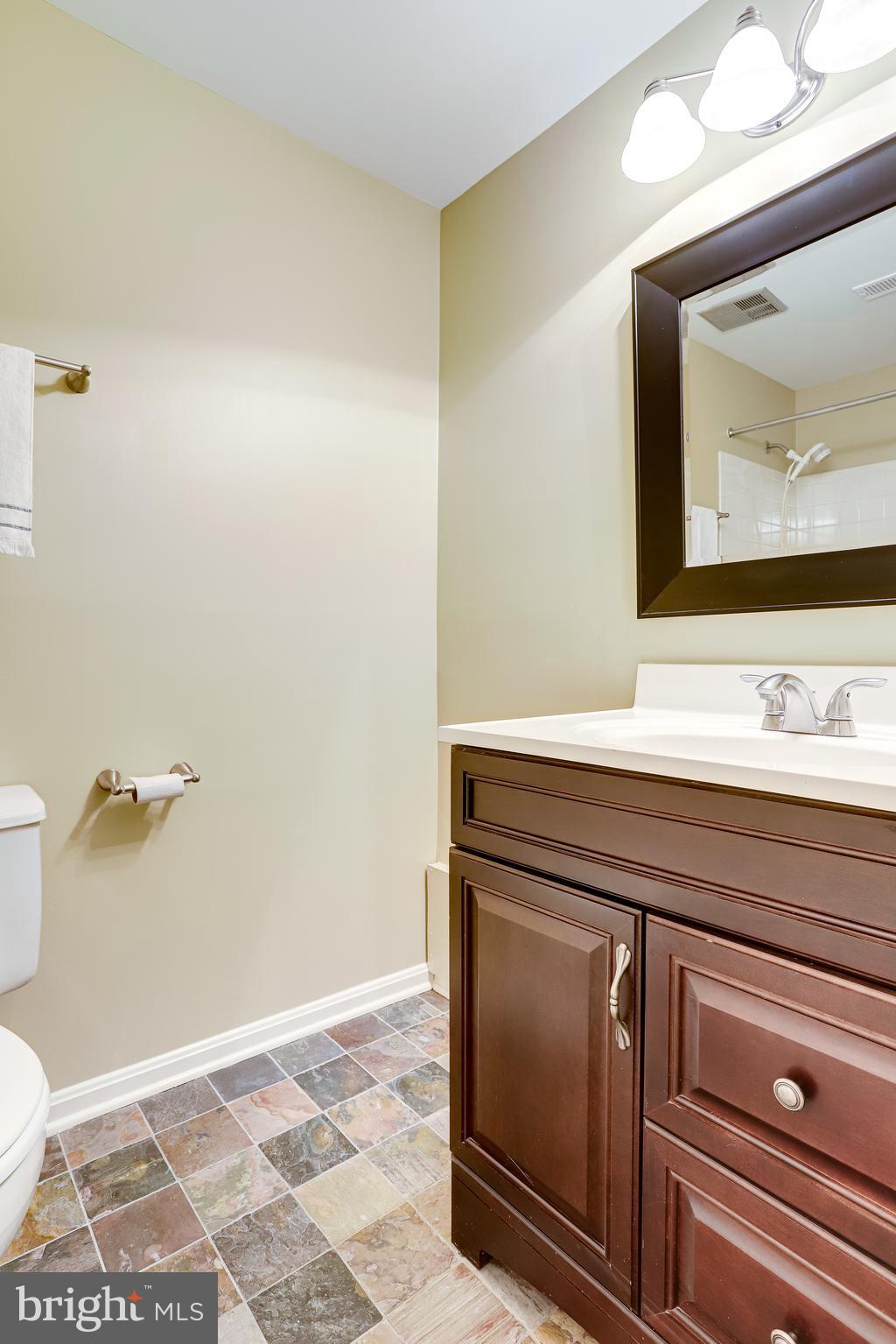 1514 Deer Point Way Reston, VA 20194 - Photo 67 of 81 Renovated Full Bath
