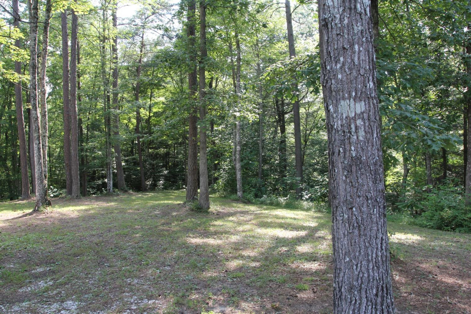 5210 London Dock Road London, KY 40744 - Photo 57 of 73 Listing Photo