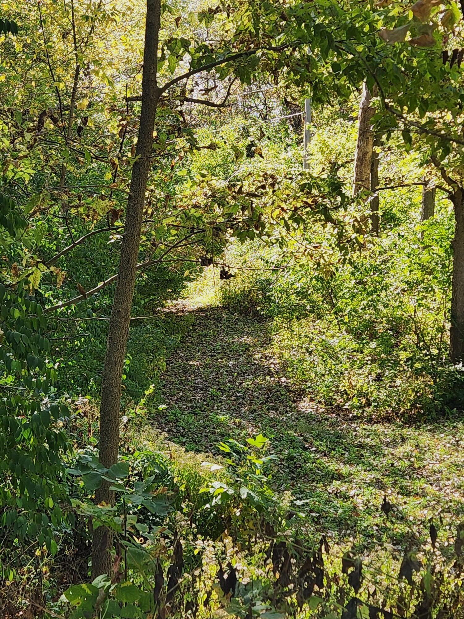 123 Old Mill Road Springfield, OH 45506 - Photo 75 of 76 More of the property