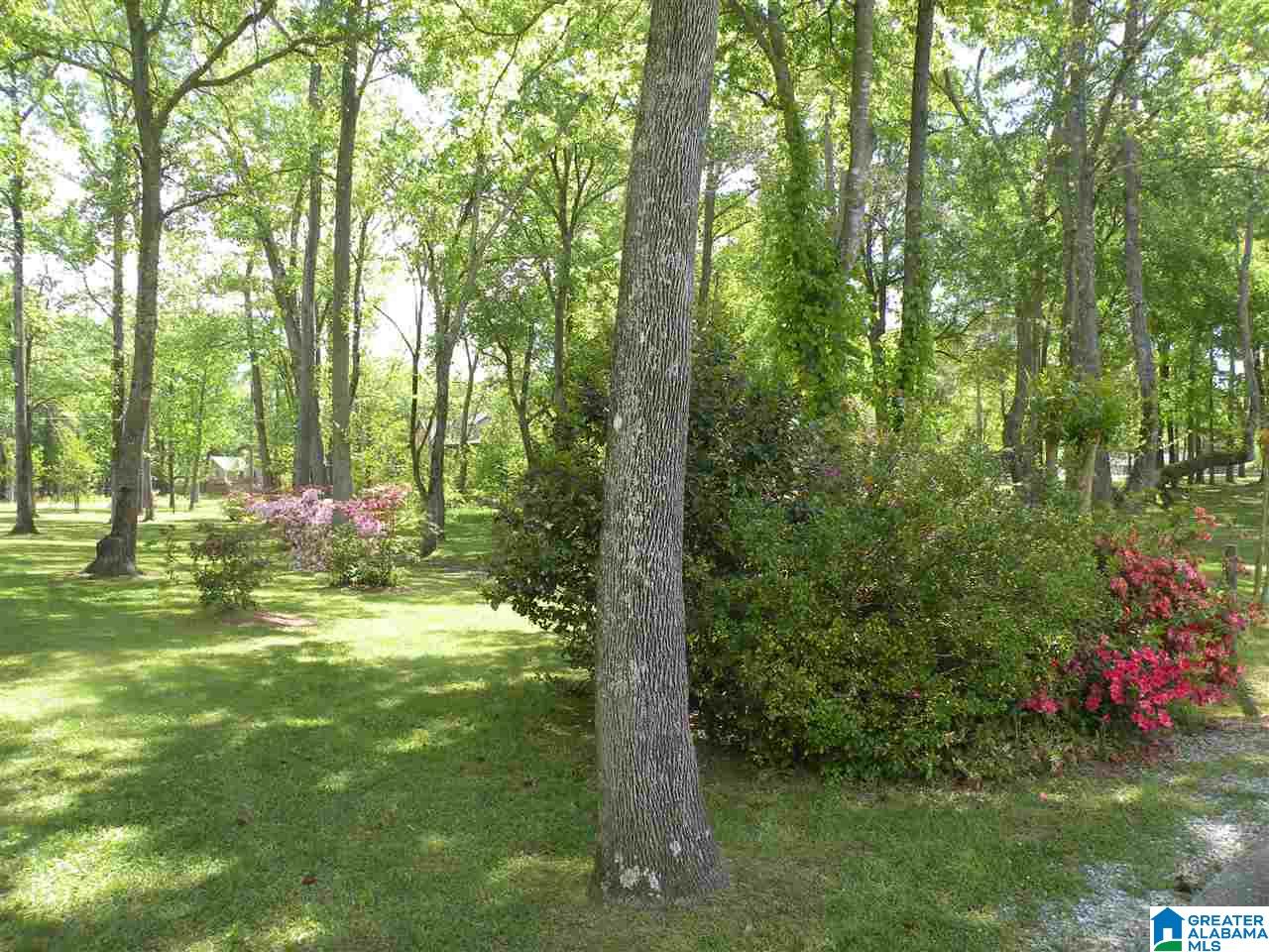 141 River Run Road Childersburg, AL 35044 - Photo 35 of 39