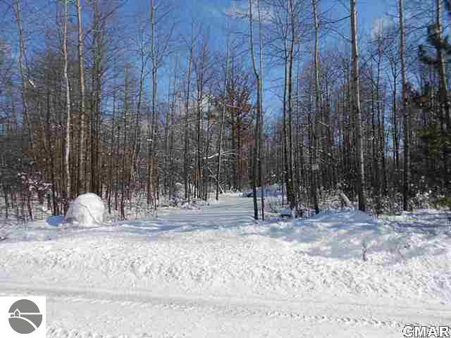 Tbd North Mason Road Wheeler, MI 48662 - Photo 1 of 12 1764885.JPG