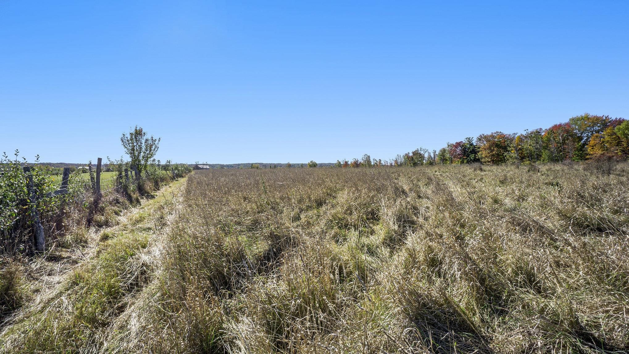 0 St Pierre Road Arcadia, MI 49613 - Photo 9 of 28