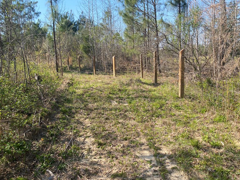 1229 Pierce Road Waverly Hall, GA 31831 - Photo 28 of 32