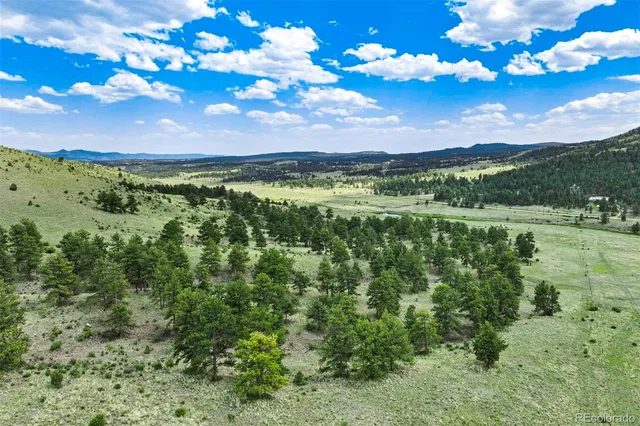 a view of a yard with an ocean