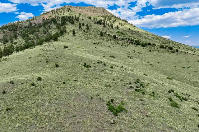 a view of a large garden with lots of bushes