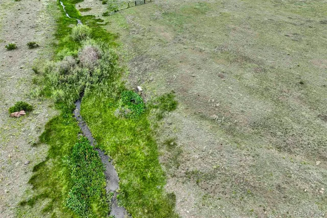 a view of a lush green space