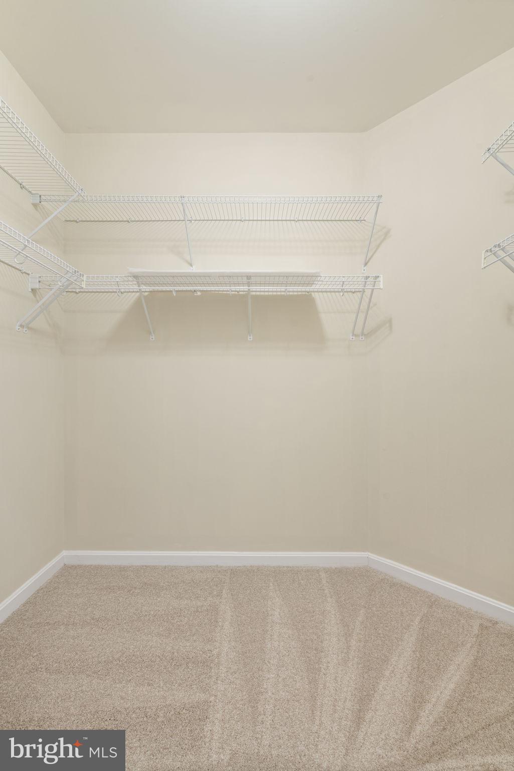 20751 Royal Palace Square, Unit 104 Sterling, VA 20165 - Photo 38 of 44 a view of an empty walk in closet