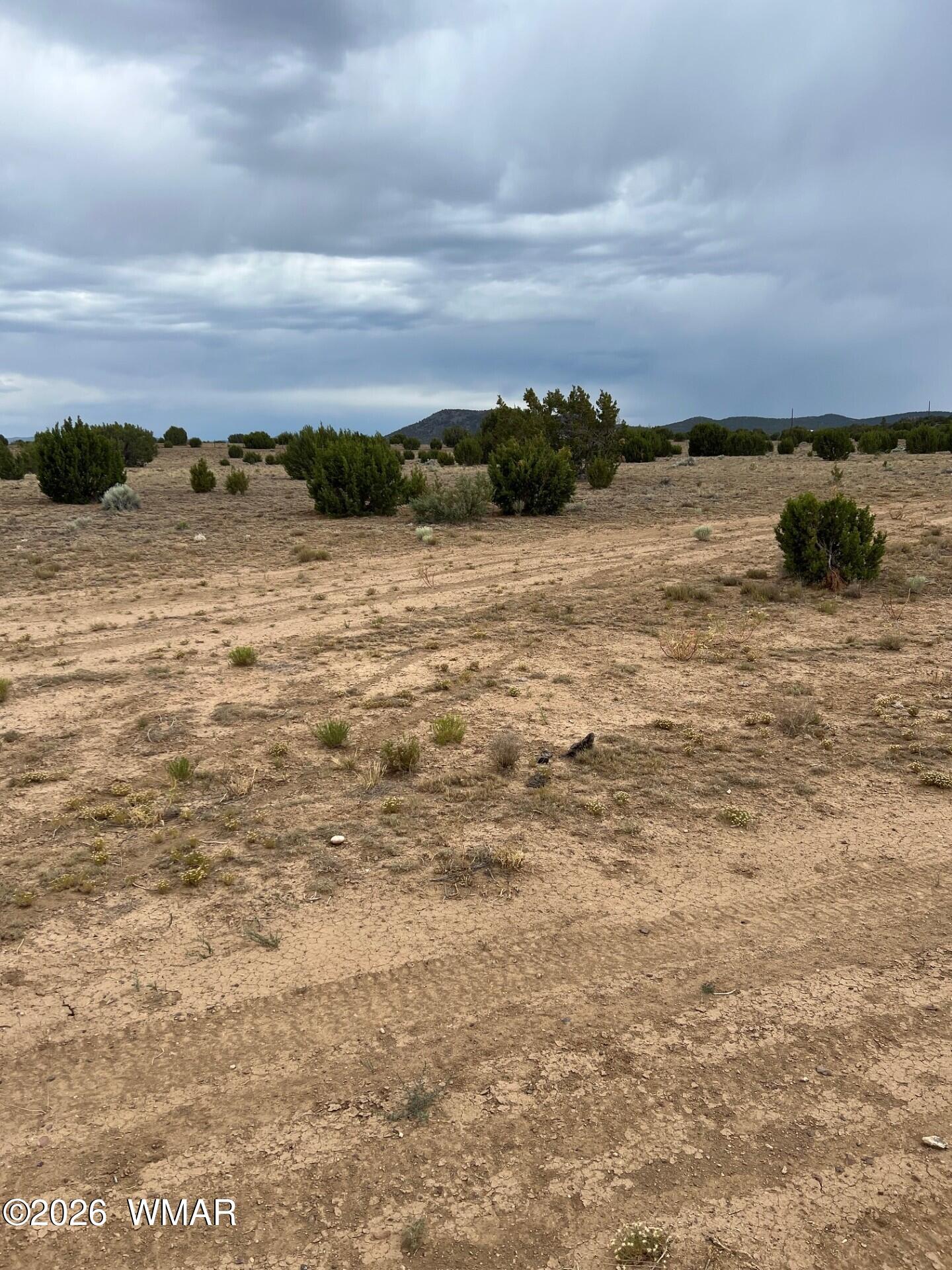 Tbd 8206 Concho, AZ 85924 - Photo 4 of 12