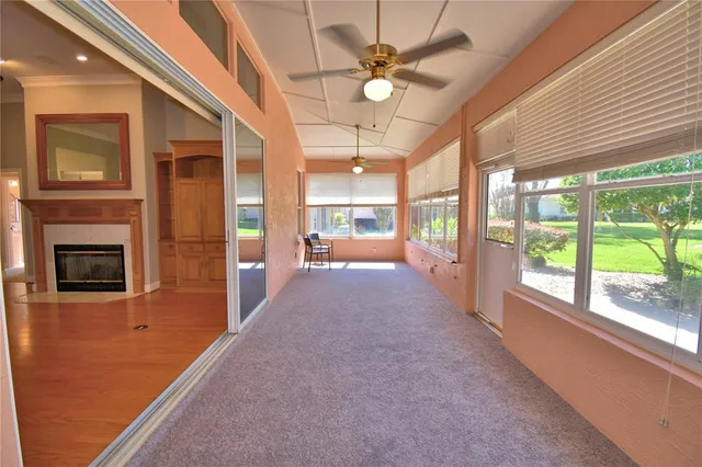 a view of a garden with a tree