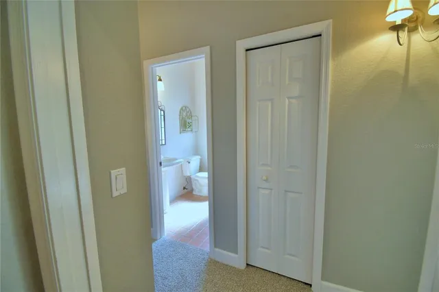 a view of a park with large trees