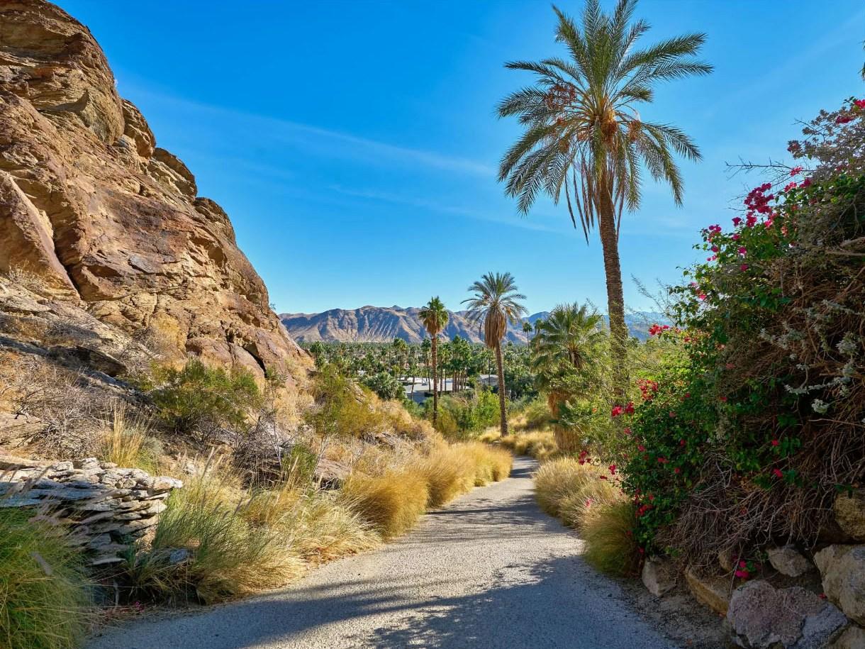 252 Ridge Road Palm Springs, CA 92264 - Photo 2 of 53 2