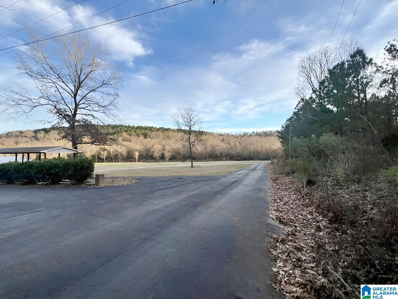 1560 Highway 144 Ragland, AL 35131 - Photo 18 of 21