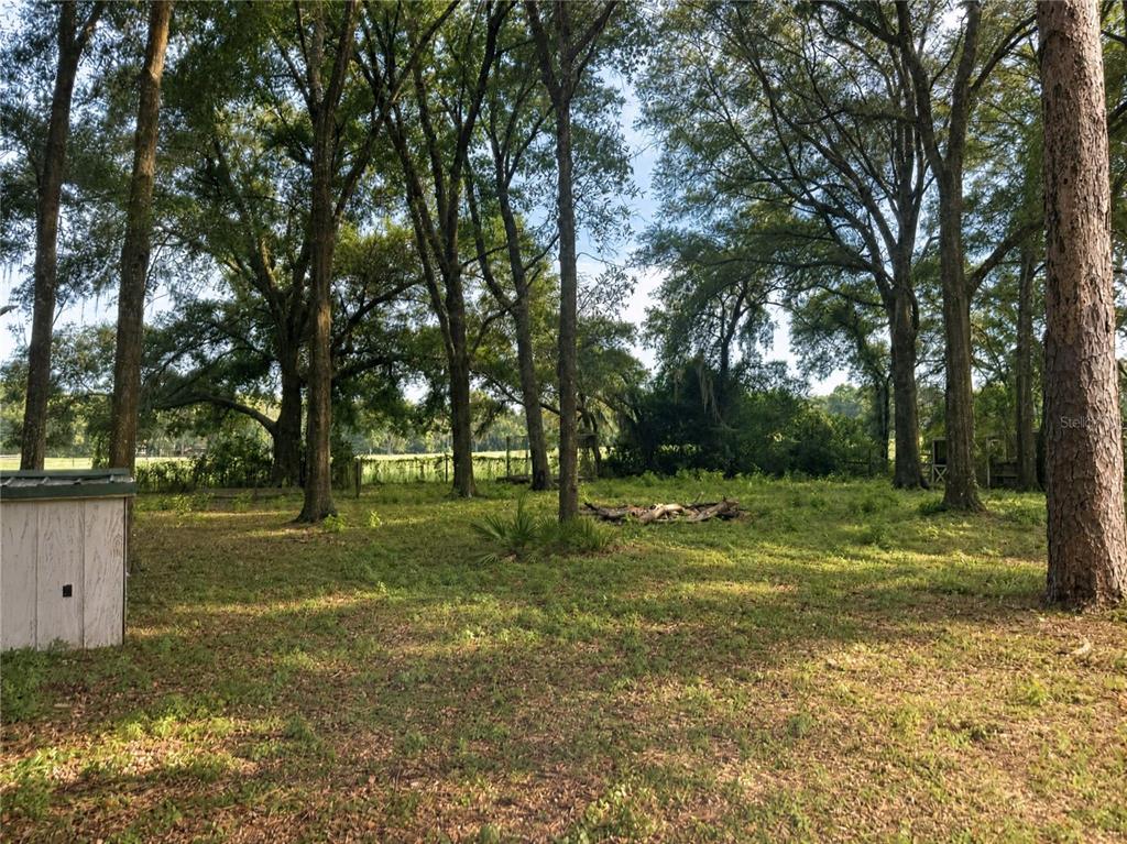 25256 Richbarn Road Brooksville, FL 34601 - Photo 13 of 20