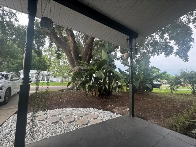 a view of a yard with plants and trees