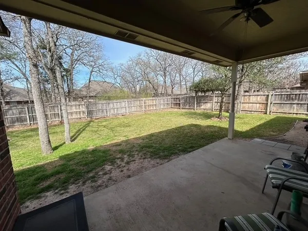 a view of a backyard