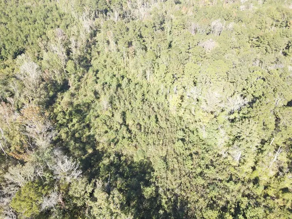 $199,000 | 7055 King Road, Wesson, MS 39191