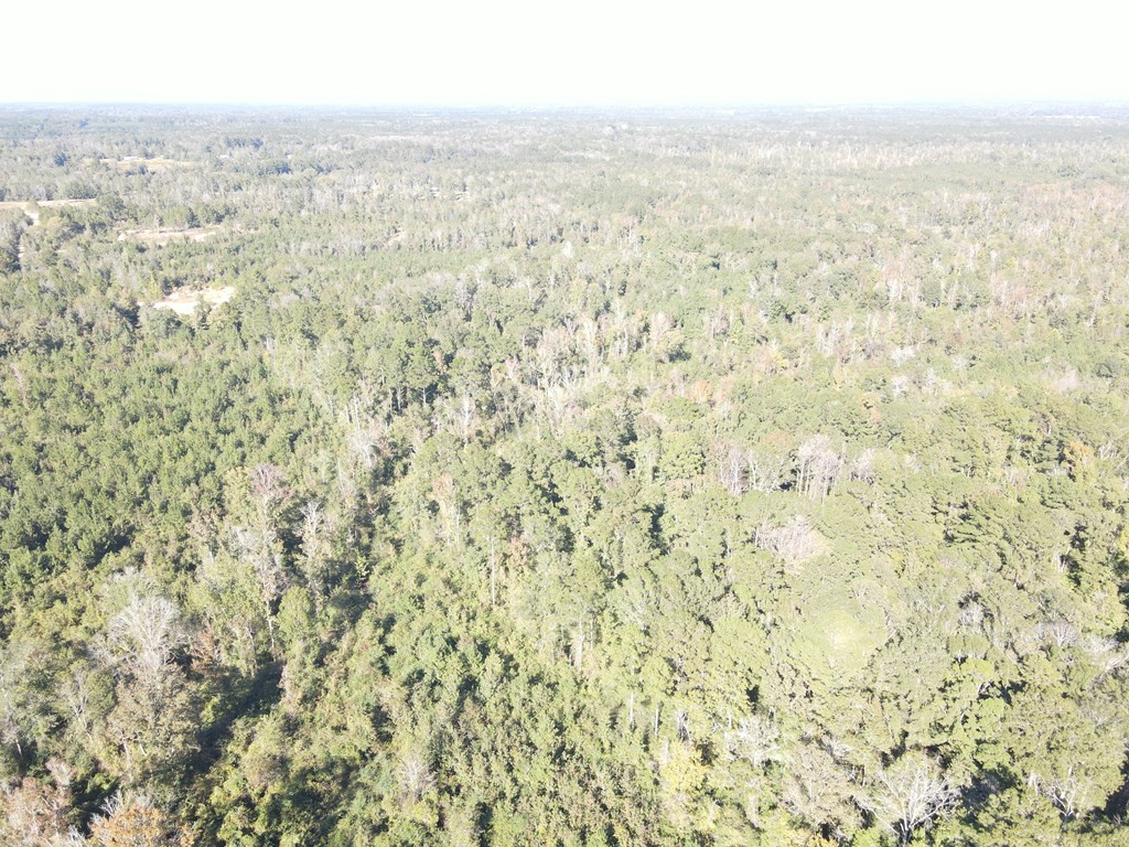 7055 King Road Wesson, MS 39191 - Photo 13 of 43 Photo 13