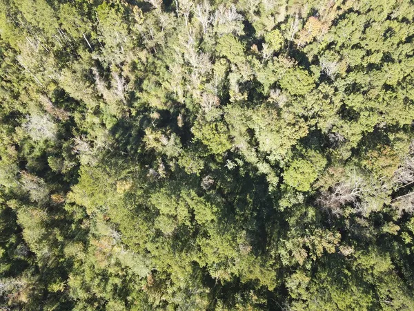 $199,000 | 7055 King Road, Wesson, MS 39191