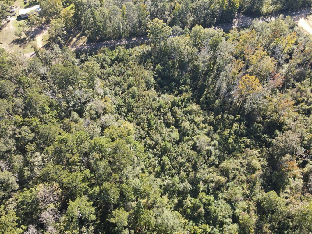 7055 King Road Wesson, MS 39191 - Photo 20 of 43 Photo 20