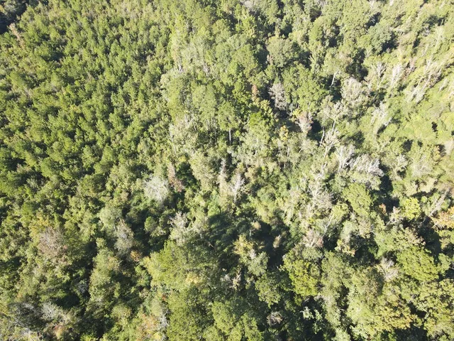 $135,000 | 7055 King Road, Wesson, MS 39191