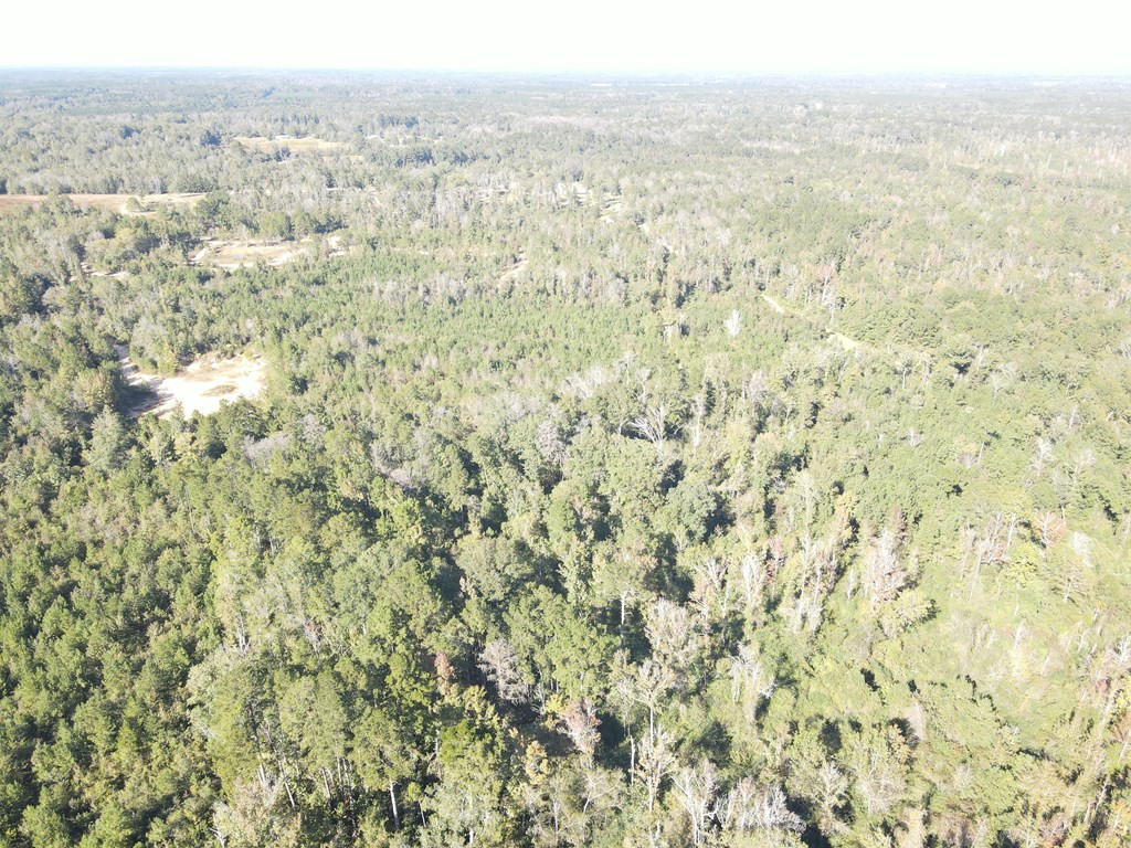 7055 King Road Wesson, MS 39191 - Photo 22 of 43 Photo 22