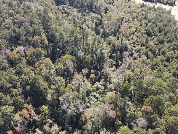 $199,000 | 7055 King Road, Wesson, MS 39191