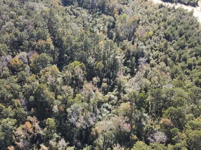 $135,000 | 7055 King Road, Wesson, MS 39191