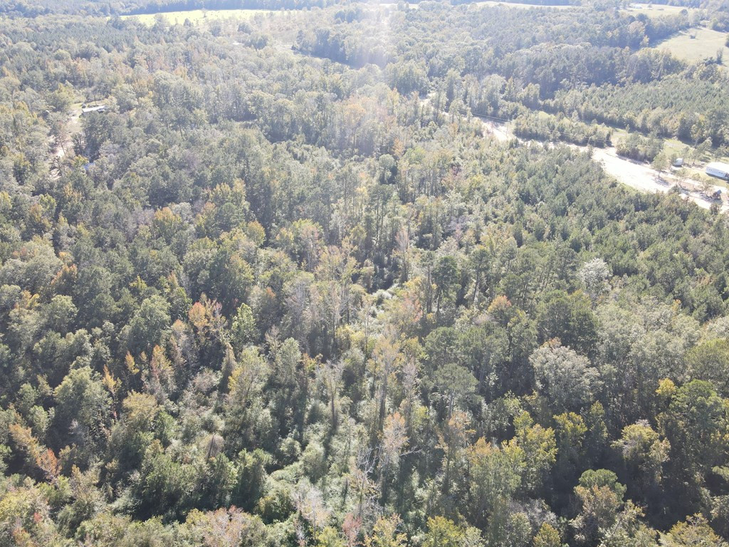 7055 King Road Wesson, MS 39191 - Photo 24 of 43 Photo 24