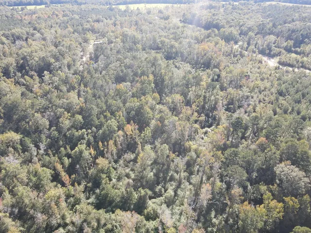 $135,000 | 7055 King Road, Wesson, MS 39191