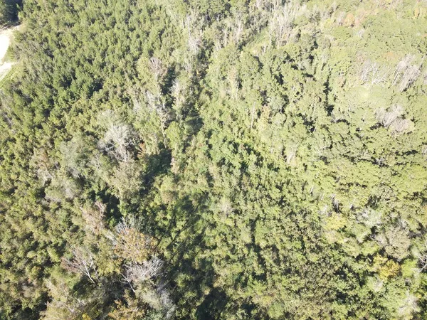 $199,000 | 7055 King Road, Wesson, MS 39191