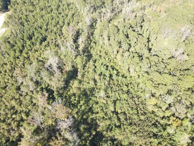 $135,000 | 7055 King Road, Wesson, MS 39191