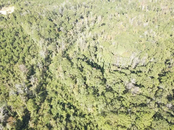 $199,000 | 7055 King Road, Wesson, MS 39191