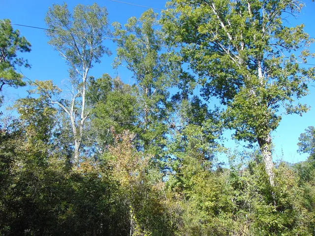 $135,000 | 7055 King Road, Wesson, MS 39191