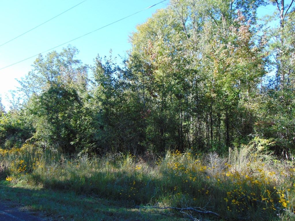 7055 King Road Wesson, MS 39191 - Photo 33 of 43 Photo 33