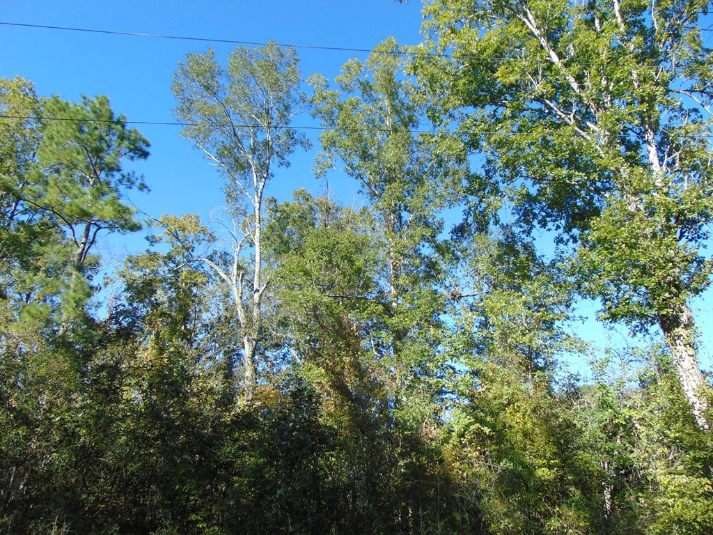 7055 King Road Wesson, MS 39191 - Photo 34 of 43 Photo 34
