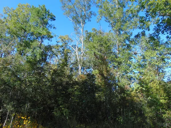 $199,000 | 7055 King Road, Wesson, MS 39191