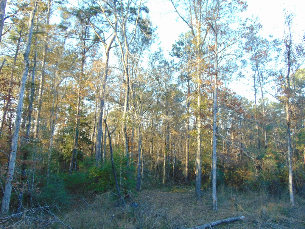 7055 King Road Wesson, MS 39191 - Photo 38 of 43 Photo 38