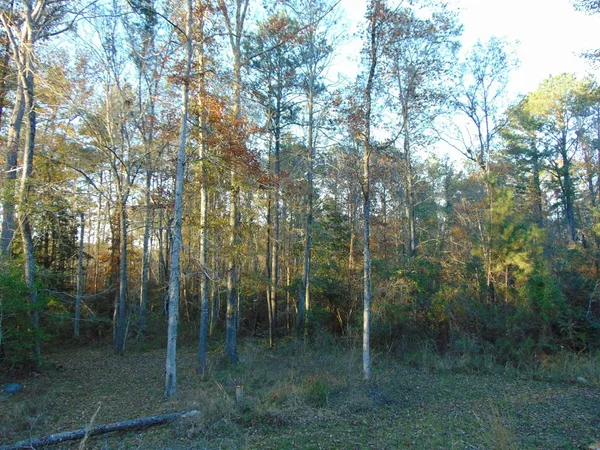 $199,000 | 7055 King Road, Wesson, MS 39191