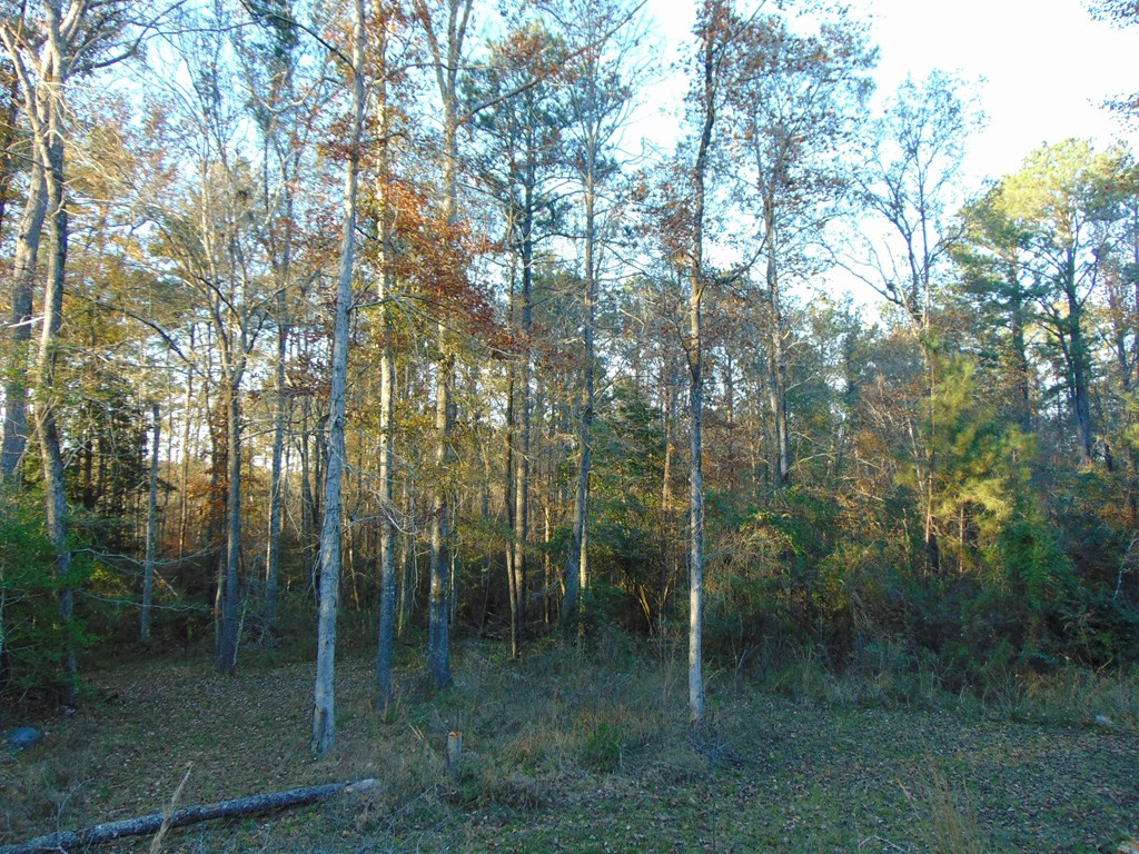 7055 King Road Wesson, MS 39191 - Photo 39 of 43 Photo 39
