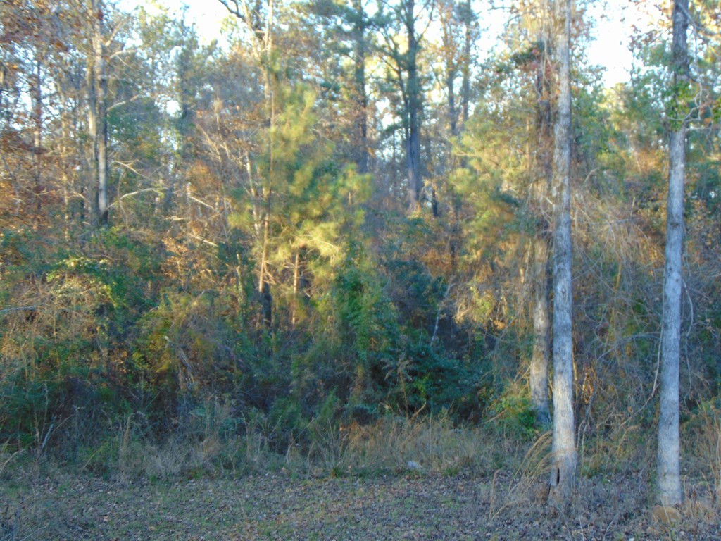7055 King Road Wesson, MS 39191 - Photo 40 of 43 Photo 40