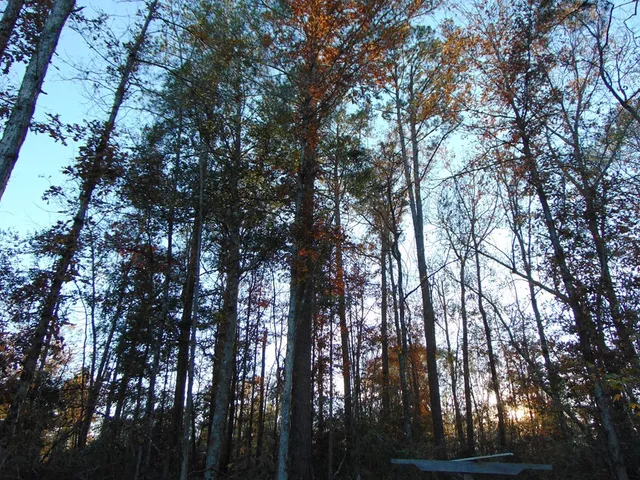 $135,000 | 7055 King Road, Wesson, MS 39191