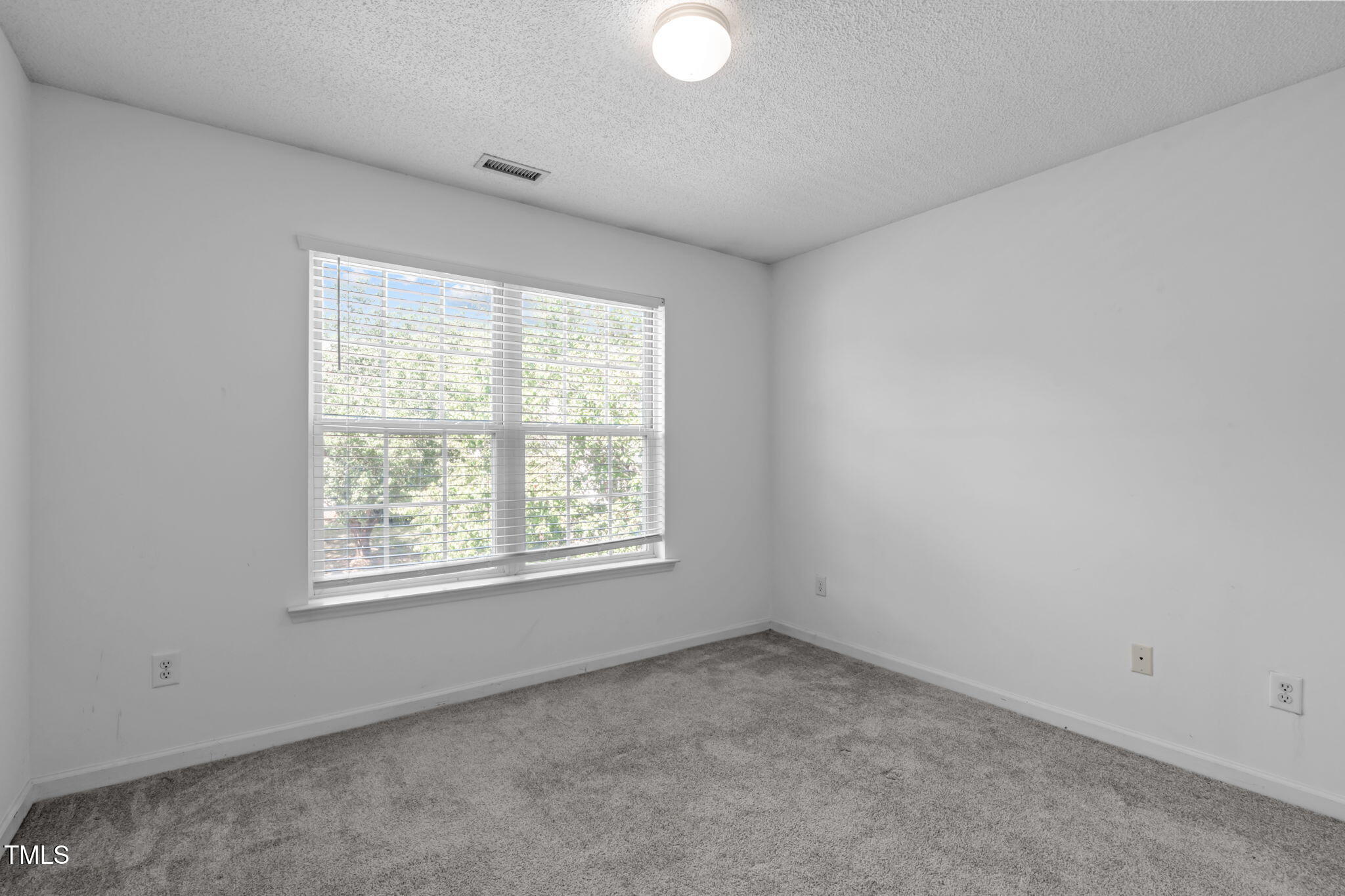 1409 Haventree Road Durham, NC 27713 - Photo 26 of 37 A-29