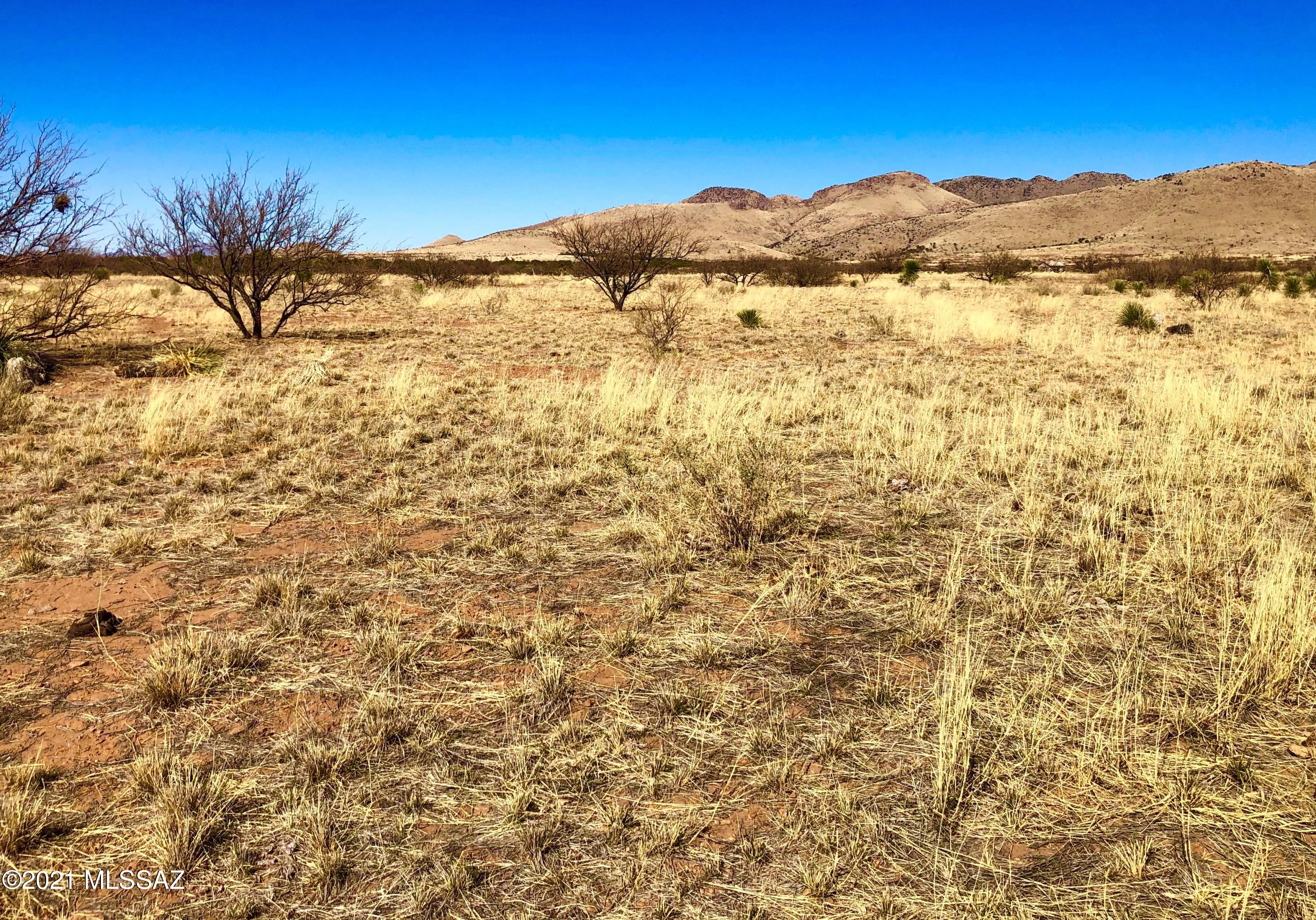 40.16 Ac Pearce, AZ 85625 - Photo 41 of 50