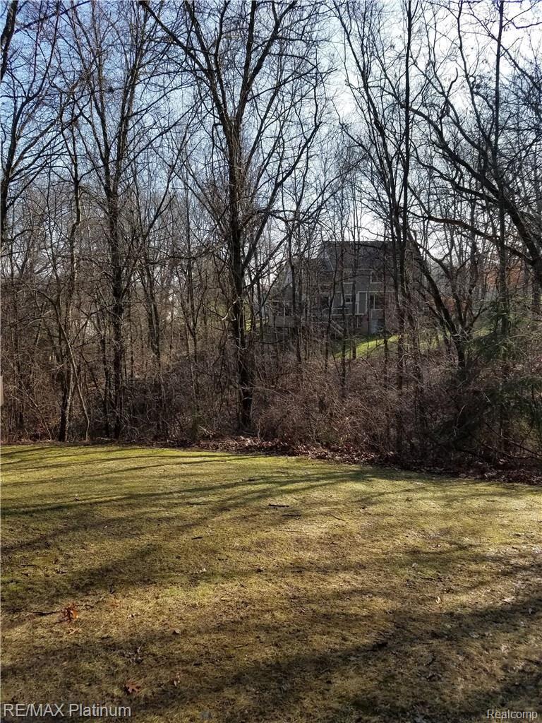 7774 Lee Road Brighton, MI 48116 - Photo 2 of 9 Private Rear Yard