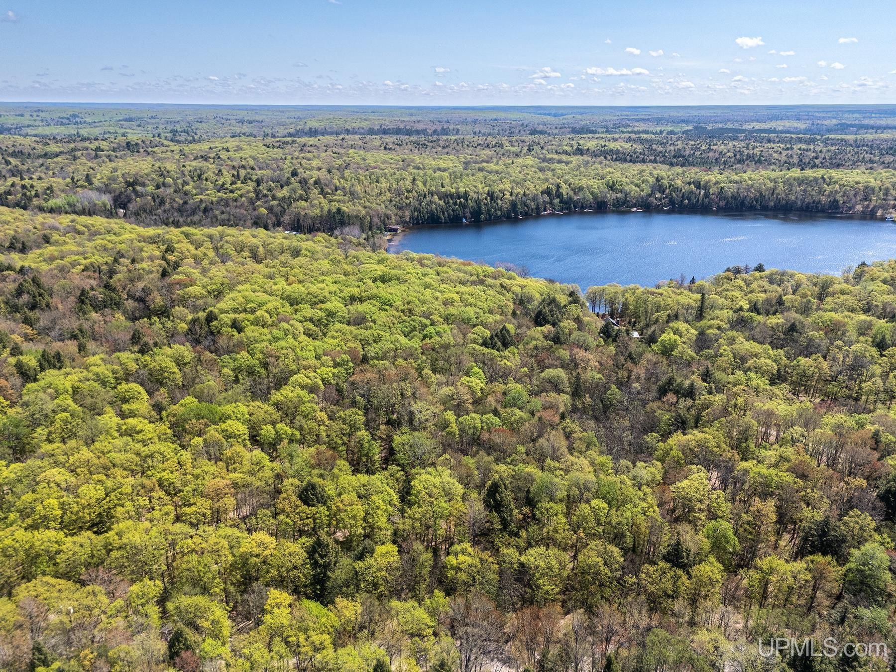 On West Duck Lake Road Watersmeet, MI 49969 - Photo 7 of 11 Gallery Image 7